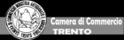 ELETTRICISTA TN ASSISTENZA 24H